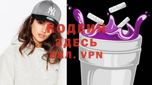 индика Елизово