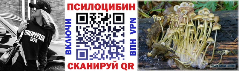 цена   Белоусово  кракен онион  Галлюциногенные грибы MAGIC MUSHROOMS 
